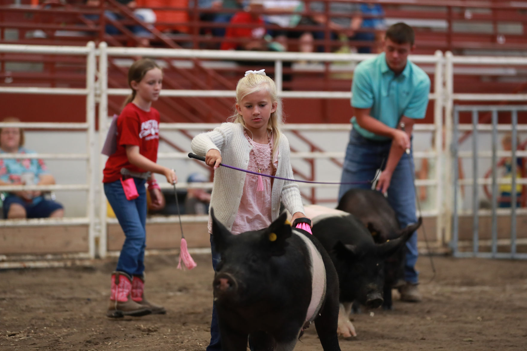 071119_HallCoFair04_bjs.JPG